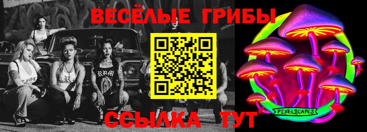 Псилоцибиновые грибы MAGIC MUSHROOMS  Вход с VPN  купить закладку  Благодарный 